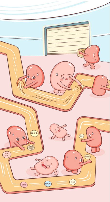 不求“肾”解，SOS！(图1)