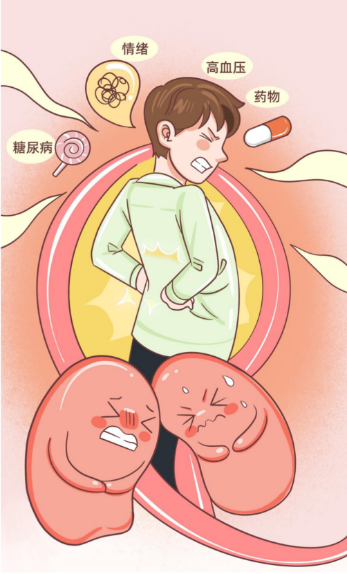 不求“肾”解，SOS！(图2)