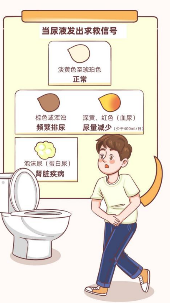 不求“肾”解，SOS！(图3)