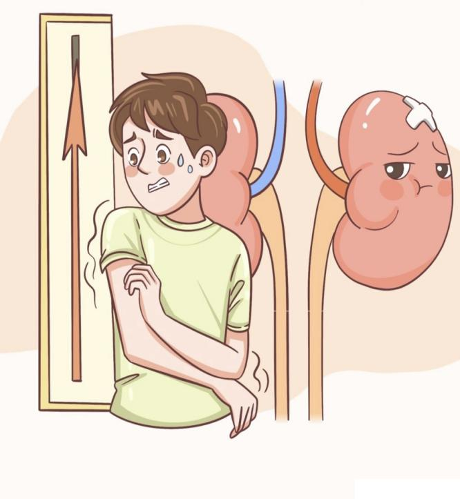 不求“肾”解，SOS！(图6)