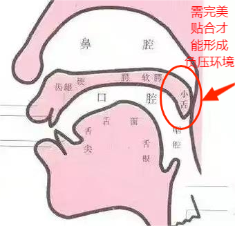 解锁大鼻孔如何配合鼻负压置换技术?(图8) 解锁大鼻孔如何配合鼻负压置换技术?(图8)