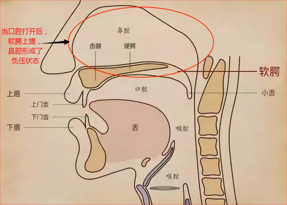 解锁大鼻孔如何配合鼻负压置换技术?(图7)